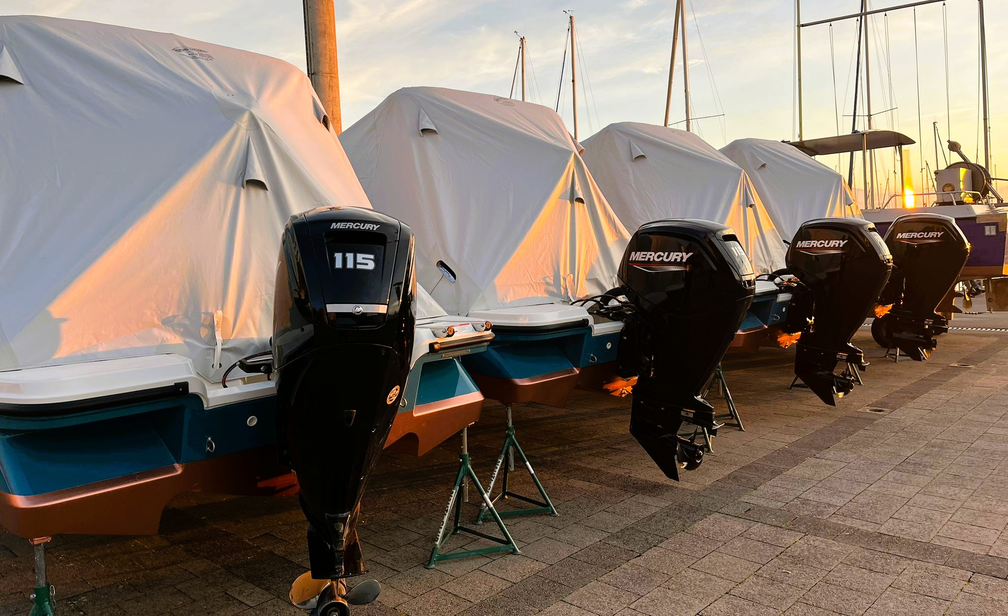 Flotte de quatre Bayliner M19, moteurs 115 ch